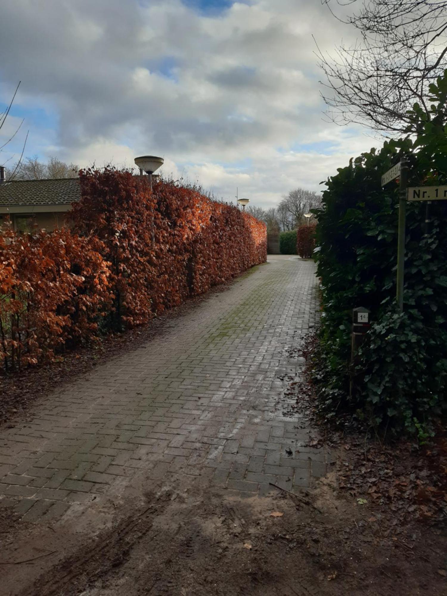 Huinerhofje 3 - Vrijstaand, Grote Tuin, Rust En Veel Privacy Nabij Uitgestrekte Bossen Villa Putten Eksteriør bilde